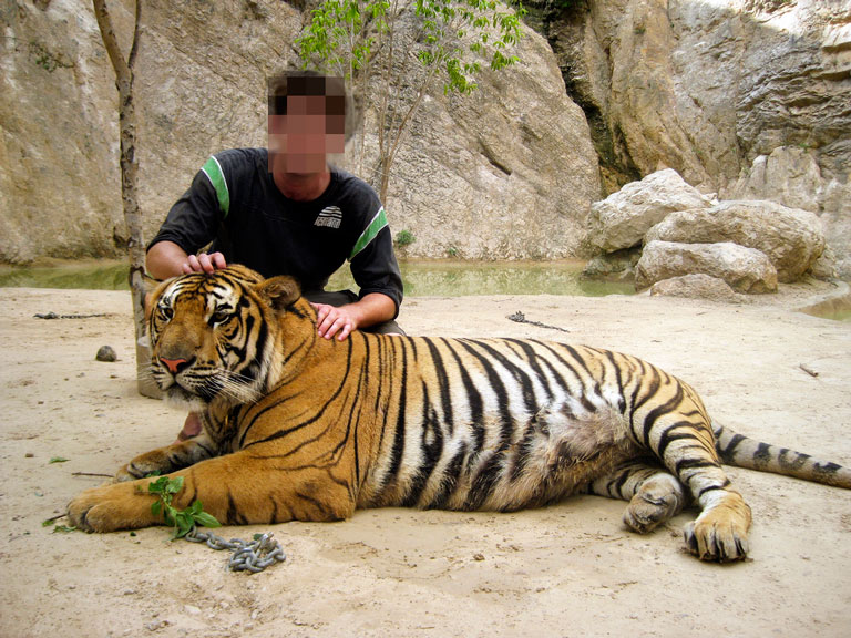 tiger-temple-selfie-1