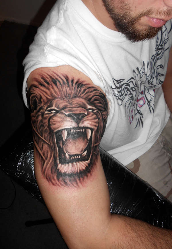 Lion by Ace Continuado | Lion drawing, Lion tattoo, Lion sketch