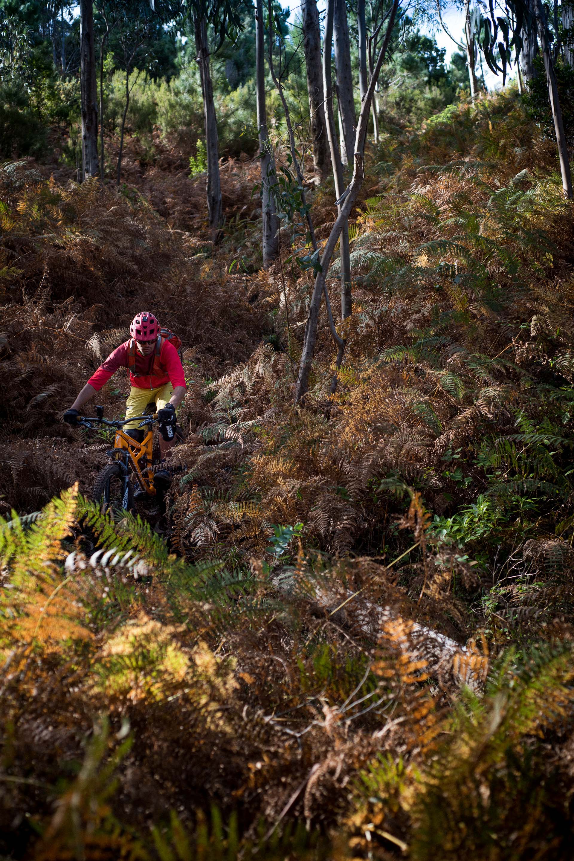 mountain-biking-in-madeira-freeride-madeira-nikon-keymisson-360-phil-youngdsc_0232-2