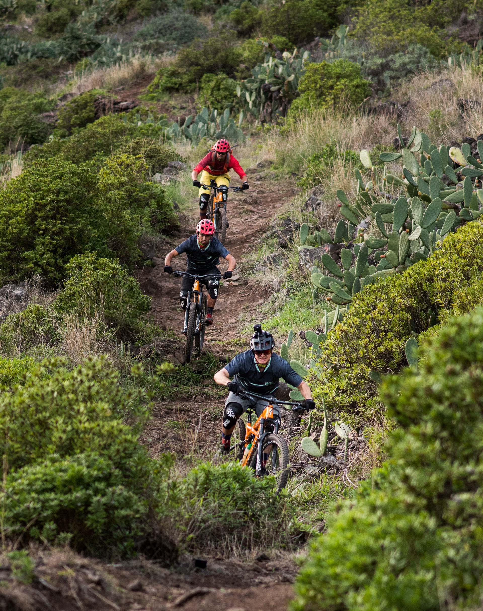 mountain-biking-in-madeira-freeride-madeira-nikon-keymisson-360-phil-youngdsc_0762-2