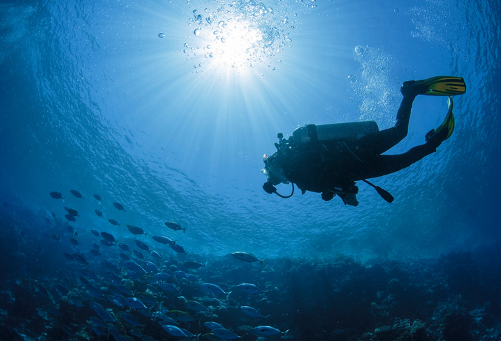 Scuba-Diving-Courses-Beginners-PADI-BSAC-SSI-UK.jpg