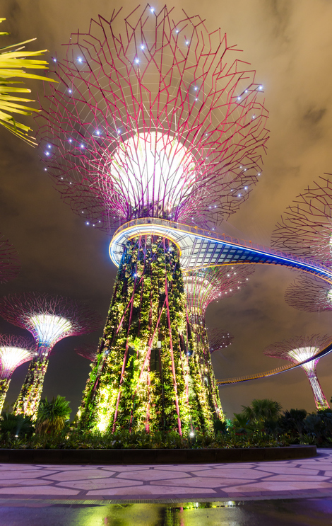 "Singapore, Singapore - November 4, 2012: Night view of Gardens by the Bay" - Photo: iStock