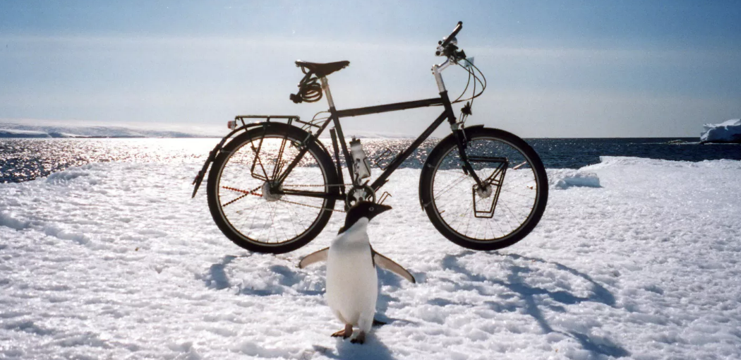 Penguin Free Wheels East film watch 
