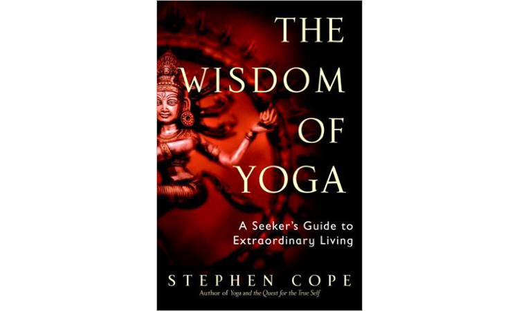 yoga-books-beginner-the-wisdom-of-yoga-stephen-cope