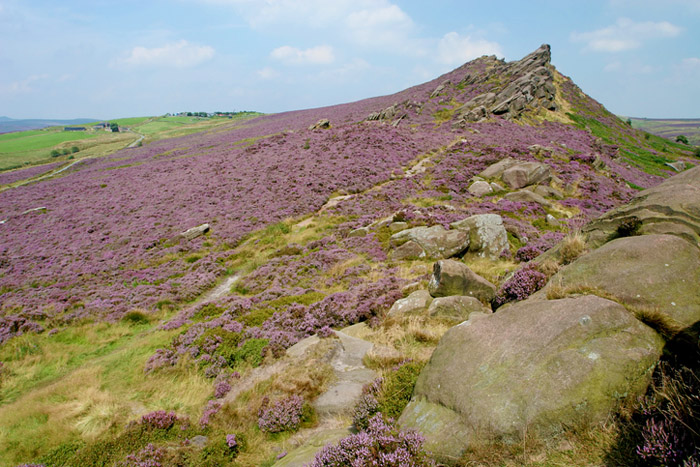 Hiking-Peak-District-Walking-UK-Roaches.jpg