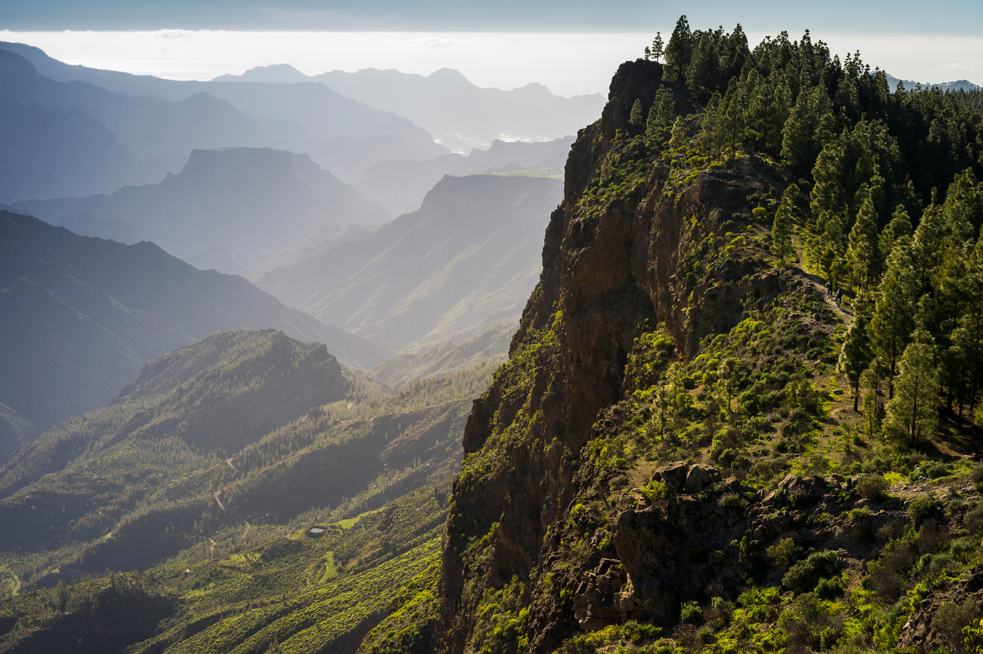 mountain-biking-in-gran-canaria