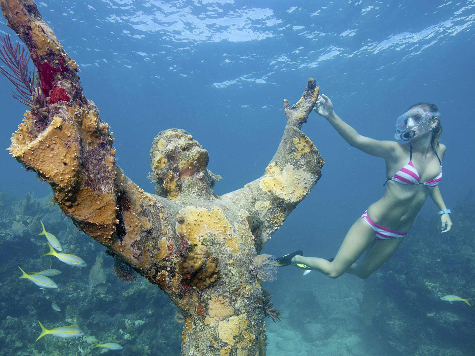 Go diving at John Pennekamp Park, Key Largo - Photo: John Pennekamp Park