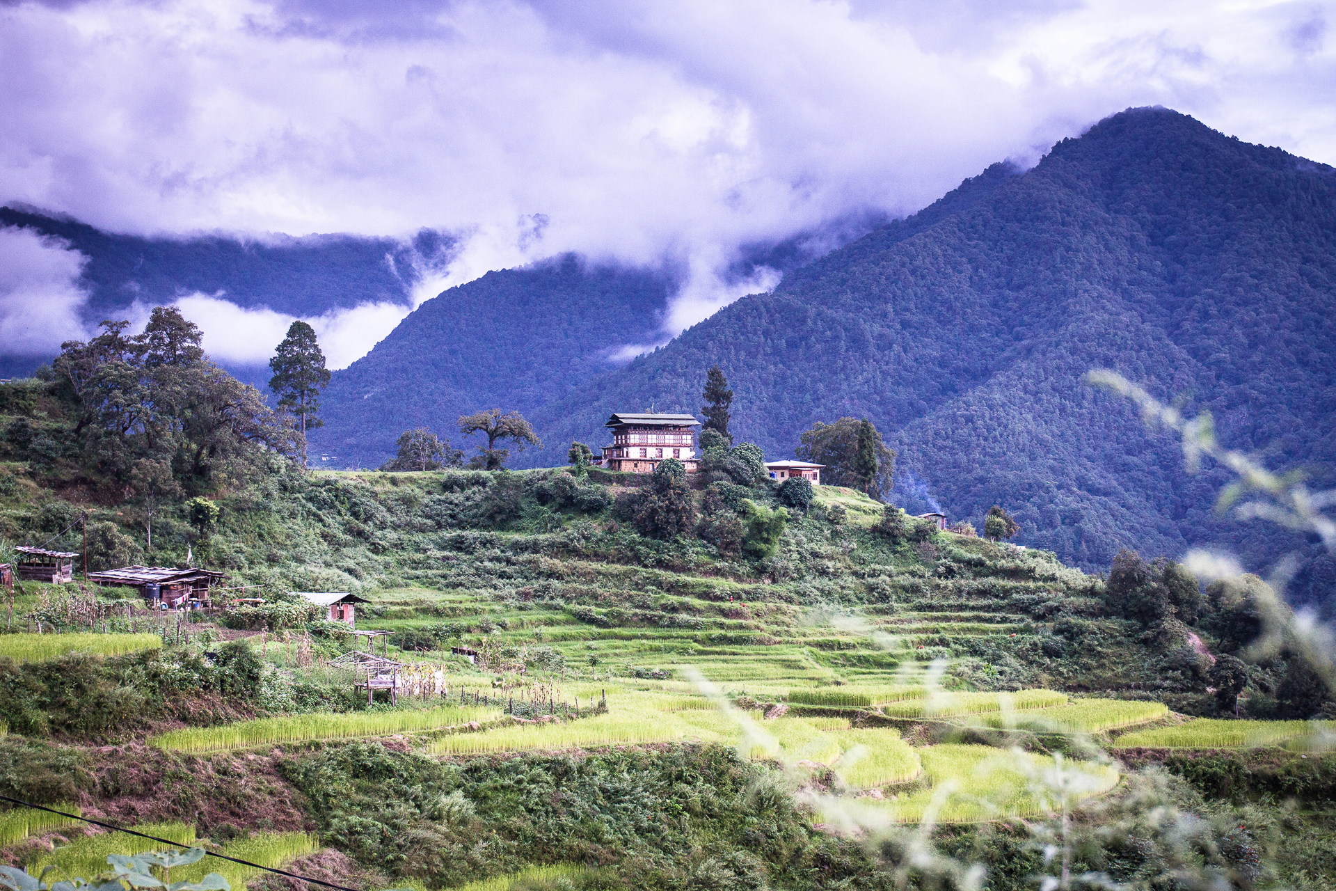 hiking-in-bhutan-mountain-biking-in-bhutan-copyright-tristan-kennedyimg_5755