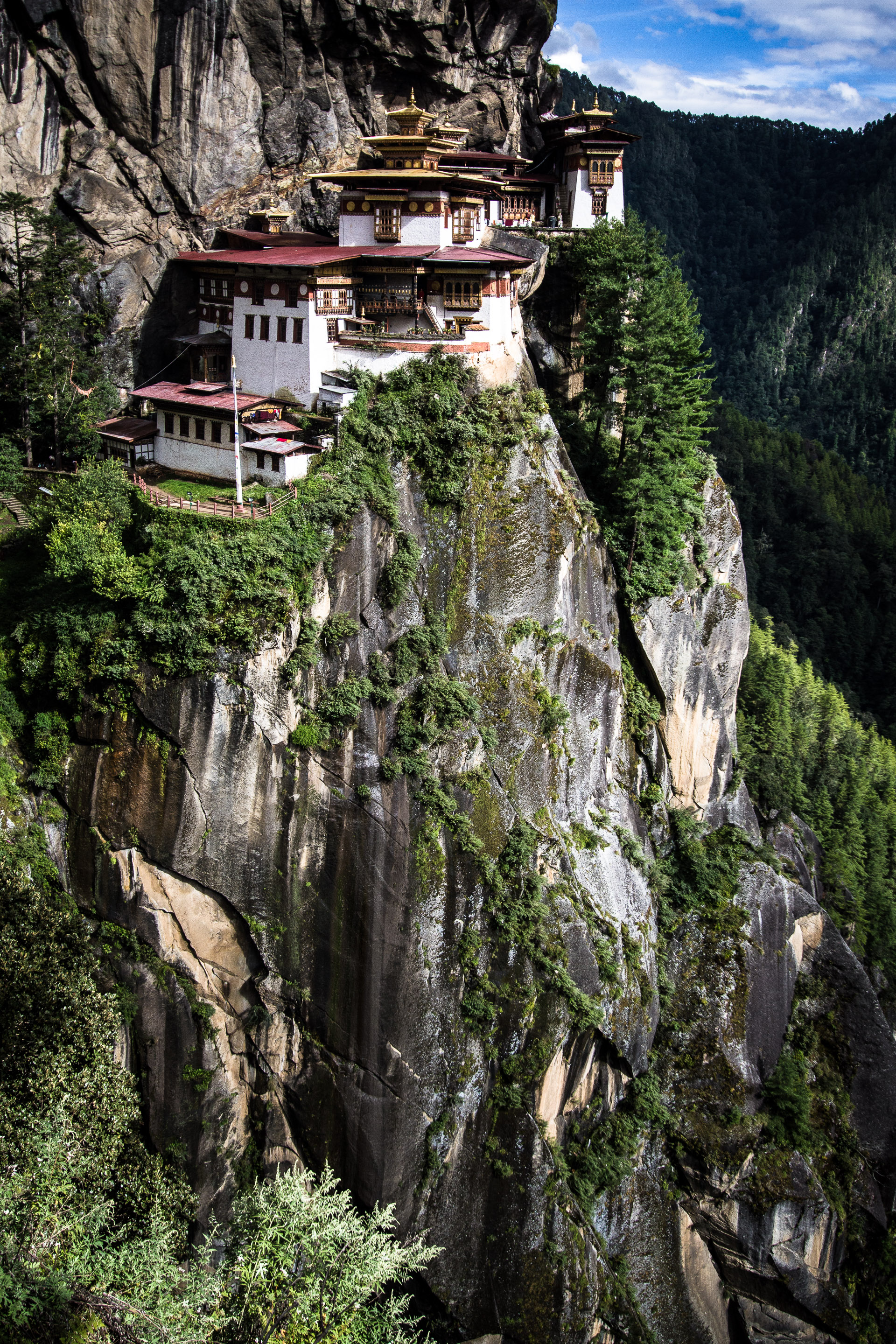 hiking-in-bhutan-mountain-biking-in-bhutan-copyright-tristan-kennedyimg_6169