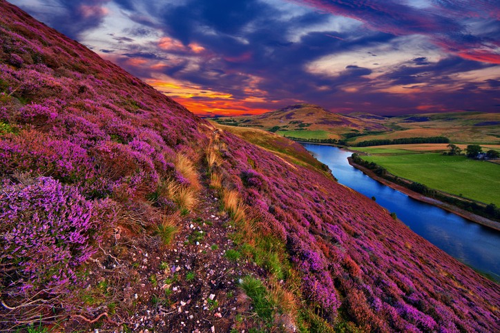 Beautiful landscape of scottish nature walking pentland hills edinburgh hiking hiking puns