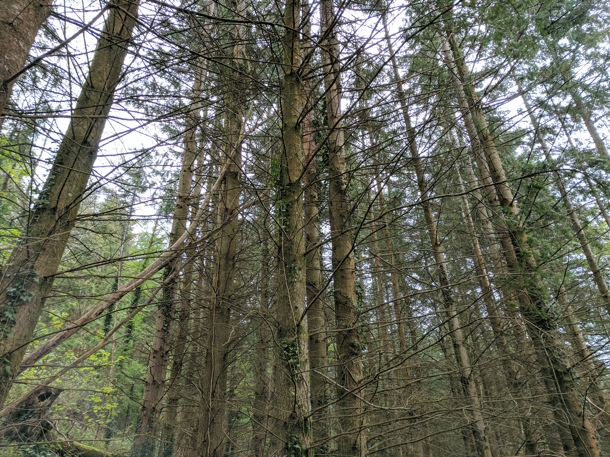 Betws-y-Coed Snowdonia Wales