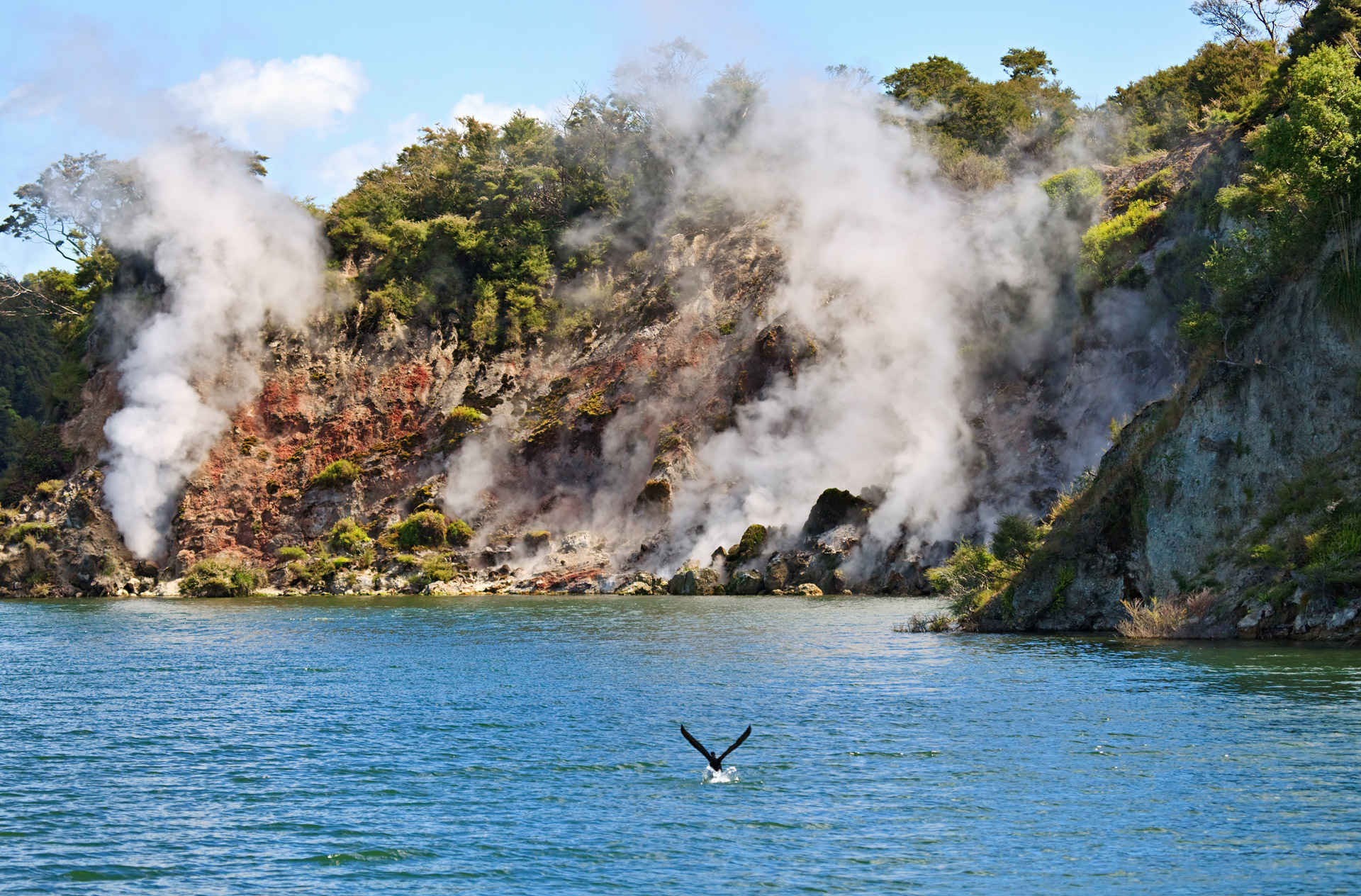 8th-wonder-of-the-world-found-in-new-zealnd-site