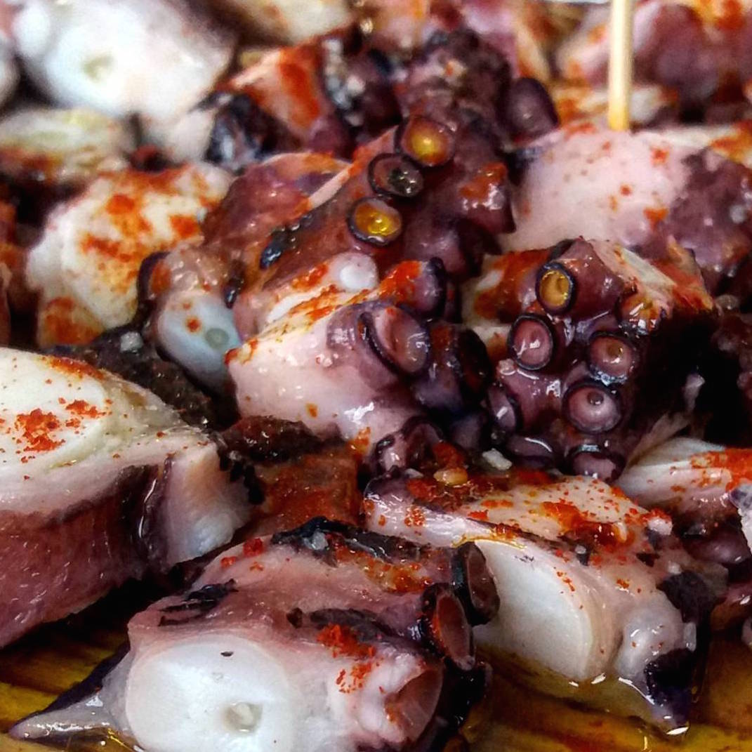 resize-pulpo galicia food adventure