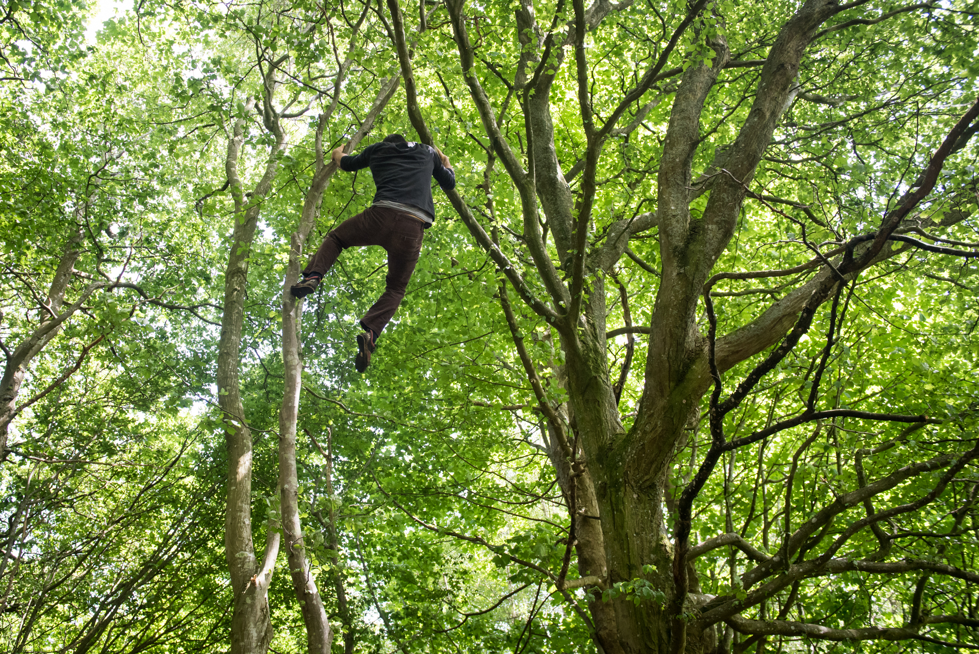 Wild Parkour Freerunning guide