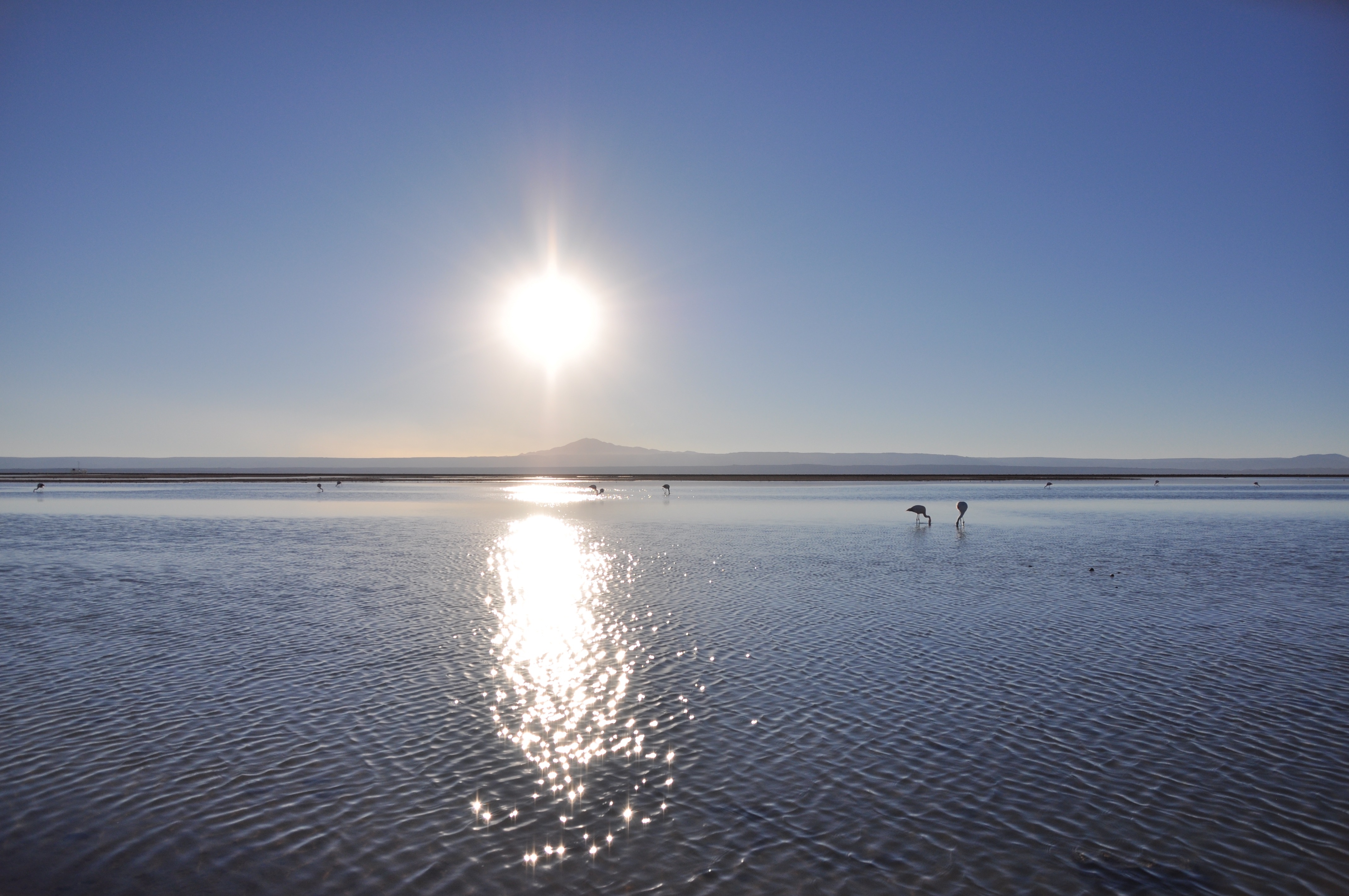 Sun setting over the jagged crust of the salt flat at Laguna Chaxa: locals claim that the Atacama’s lagoons are slowly drying up