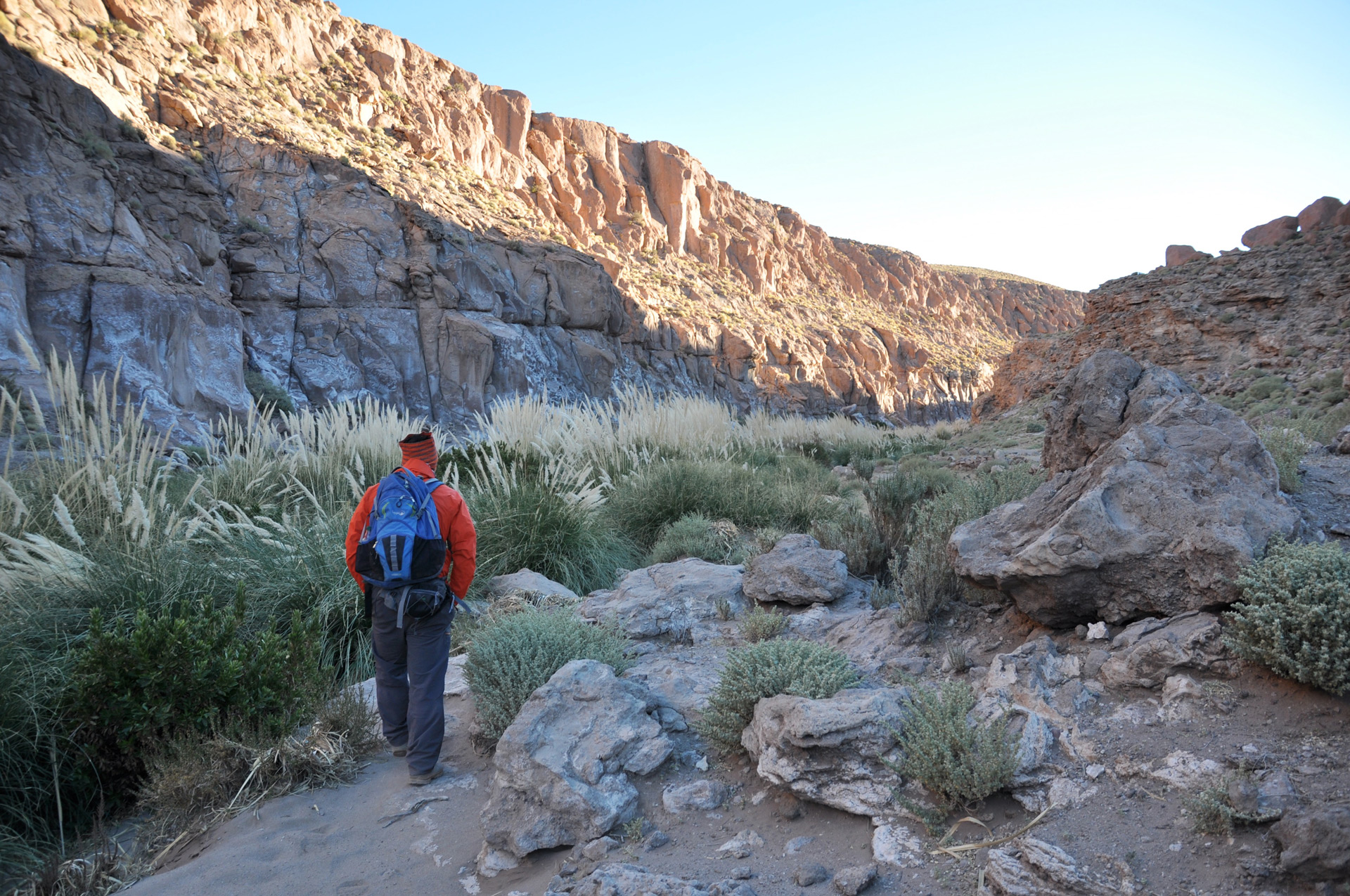 Lush vegetation and pampas grass trace the course of the geothermal Puritama River that winds through the Guatin Ravine — the Atacama is pure, dry desert and lush river beds