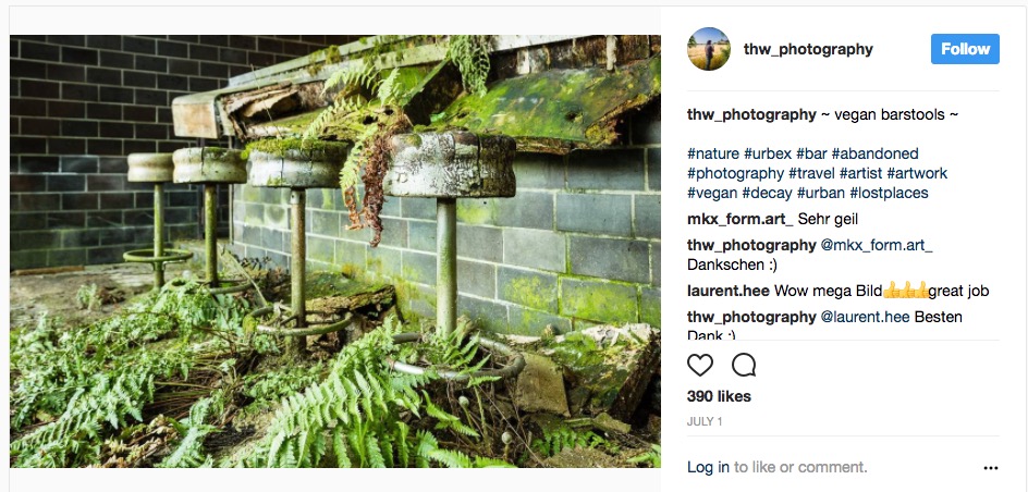 Nature reclaiming the bar stools