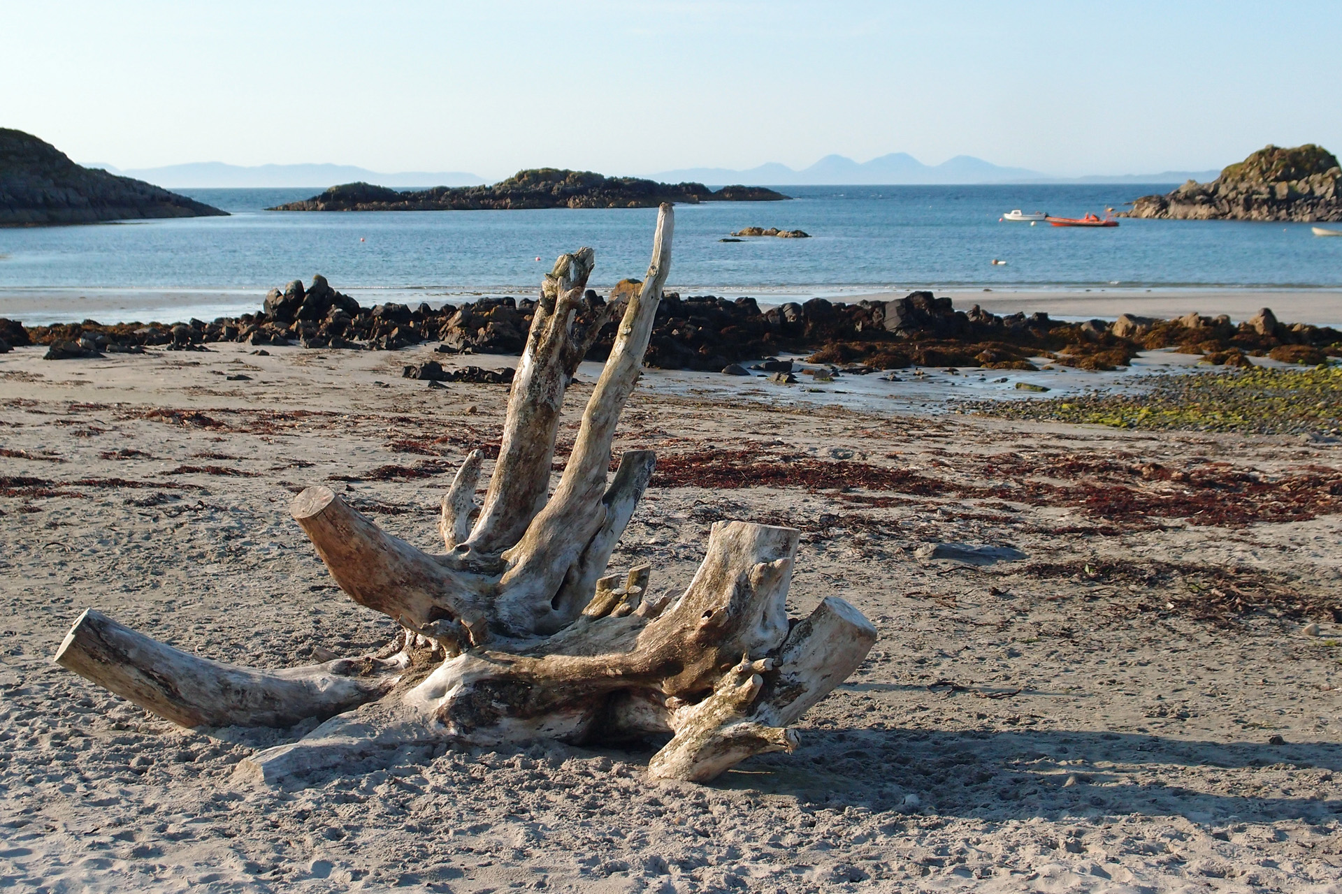 Beach driftwood 'sculpture', Uisken