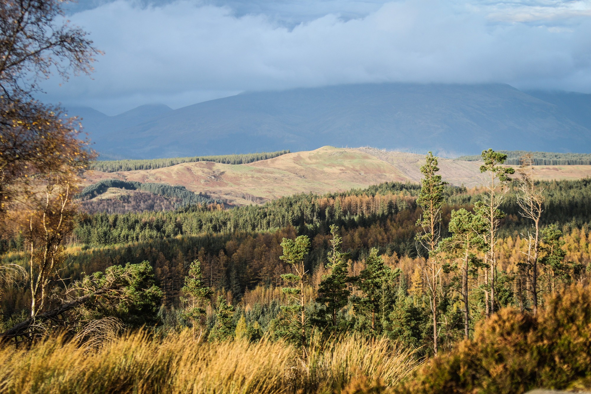 24-hour-relentless-mountain-biking-no-fuss-fort-willian-nevis-range-1