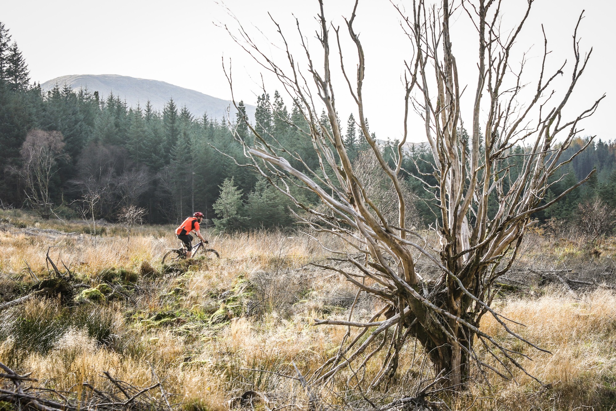 24 hour relentless mountain biking in scotland fort william no fuss 3