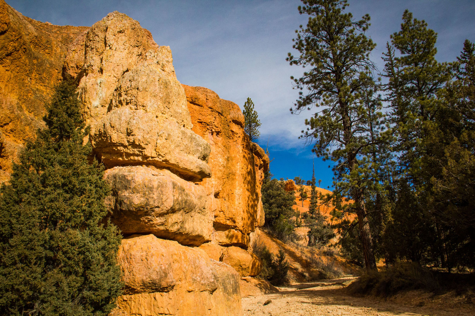 Cassidy trail, Red Cayon, Bruce Canyon Utah - Photo: James Renhard