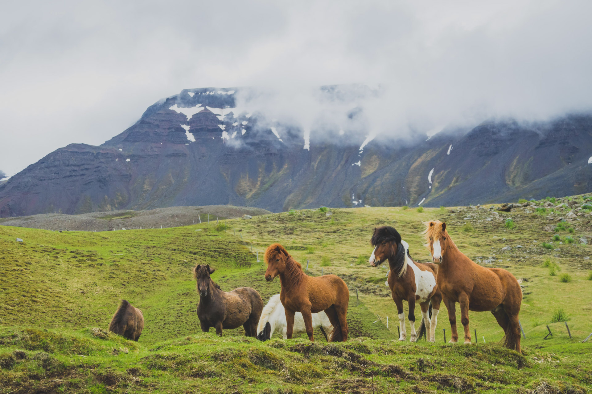 walking-hiking-trekking-in-iceland-unsupported-traverse-beginning-hike-26