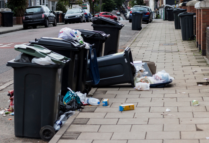 plogging jogging litter picking edinburgh mpora 2