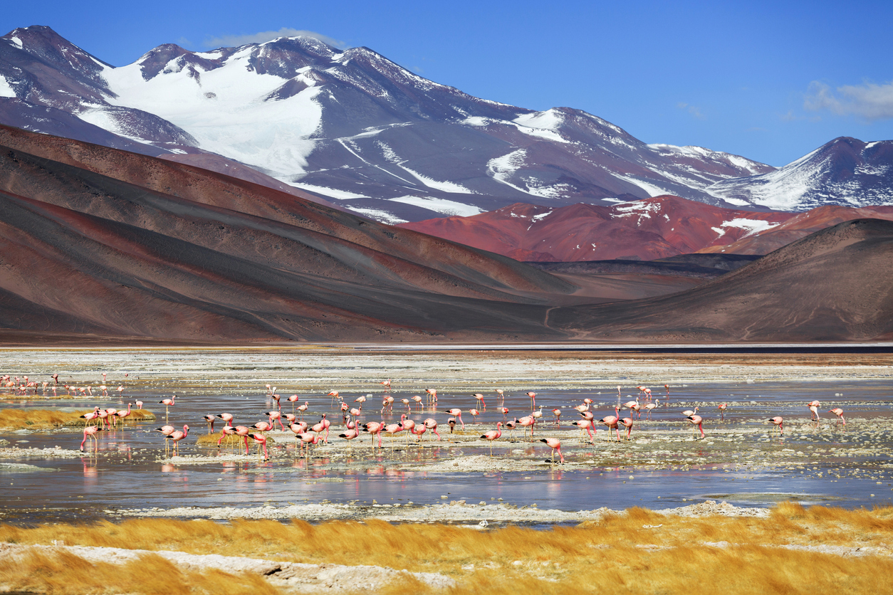 Black lagoon, volcano Pissis, Catamarca, Argentina