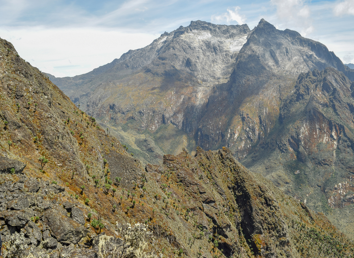 Mount Speke in the Rwenzori Mountains, Uganda