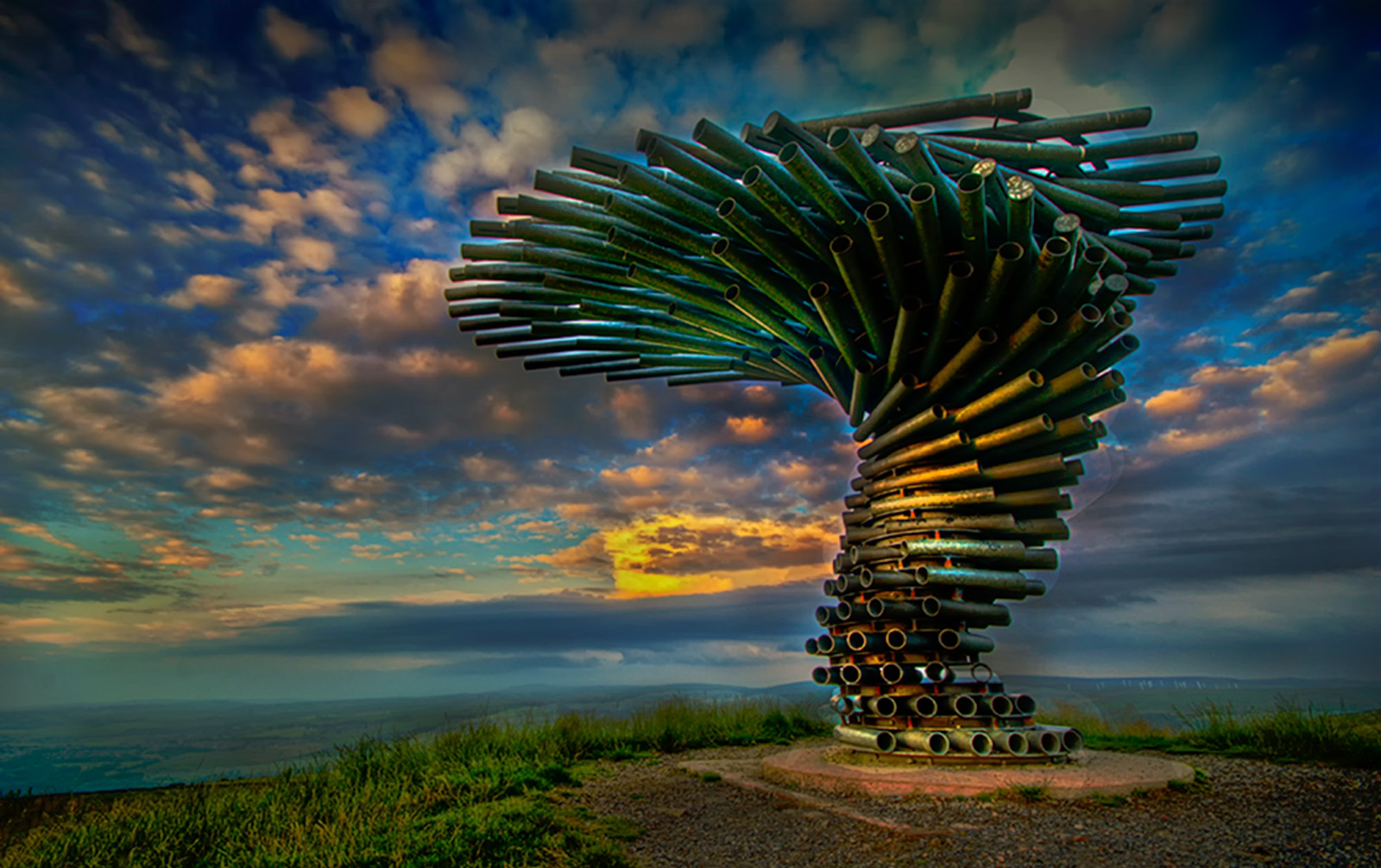 Pictured: The Ringing Tree. Photo: Richard Tierney