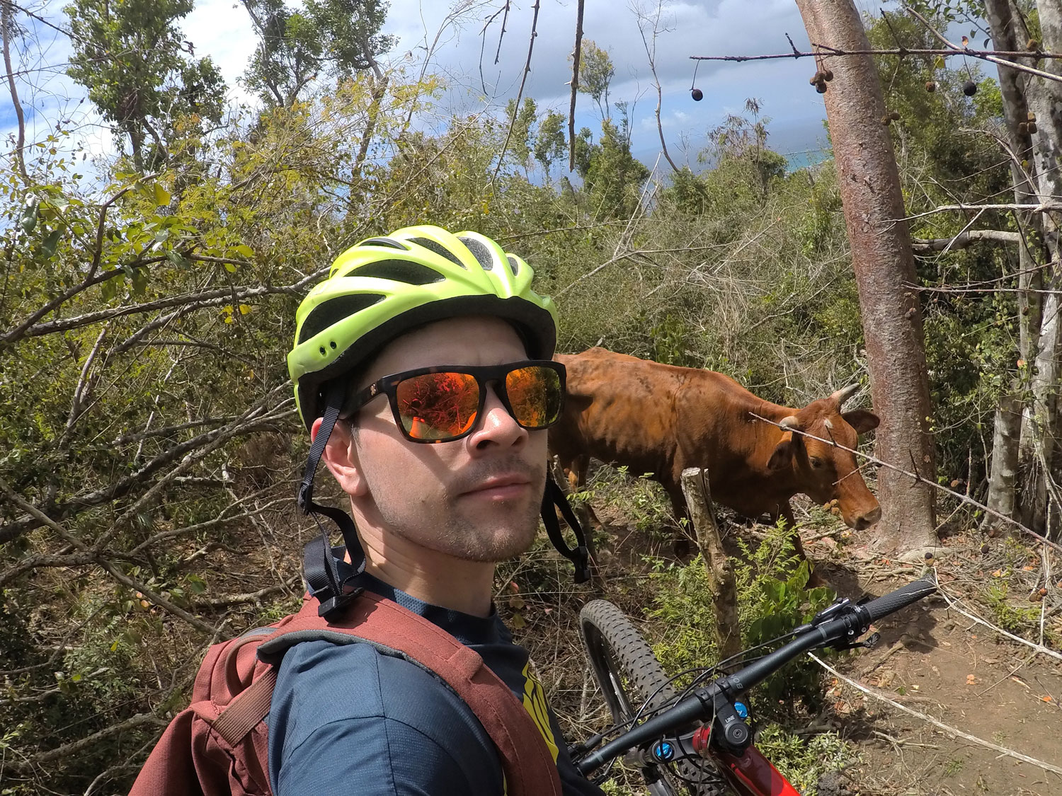 mountain-biking-in-the-caribbean