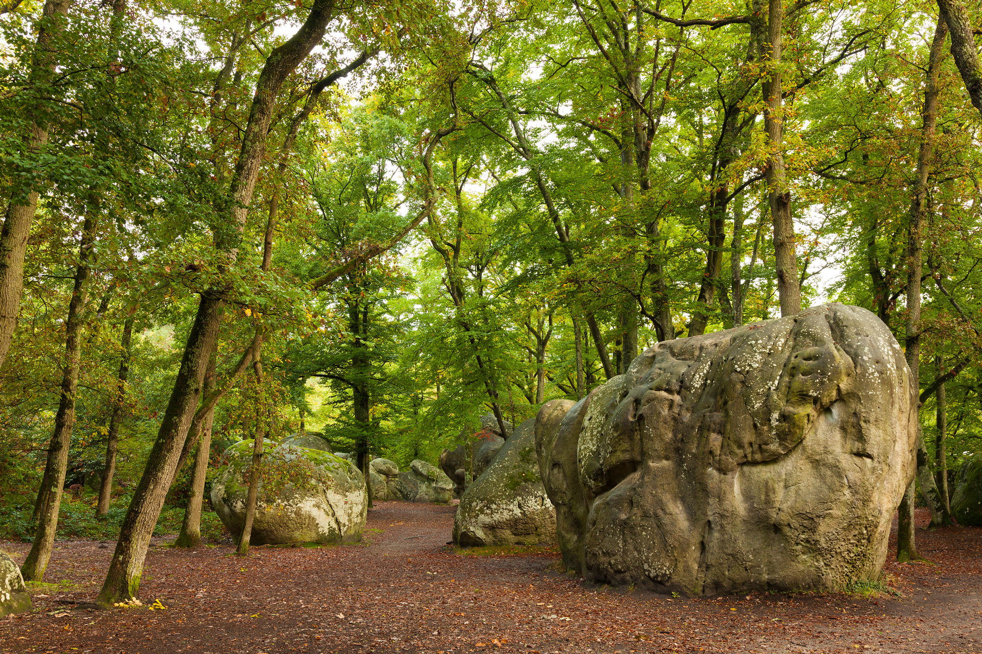 fontainebleau-forest-bouldering