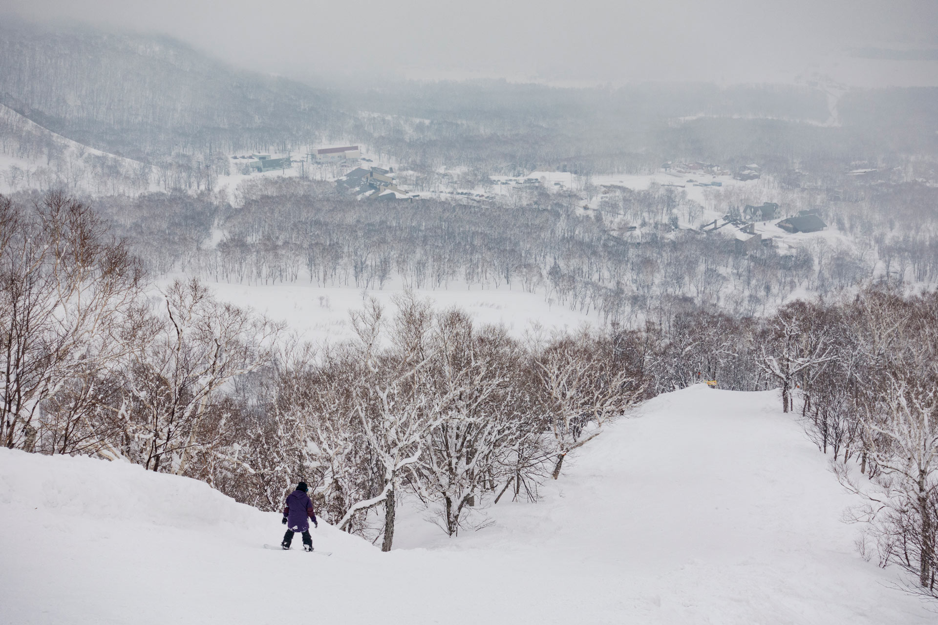 Niseko-Destination-Guide