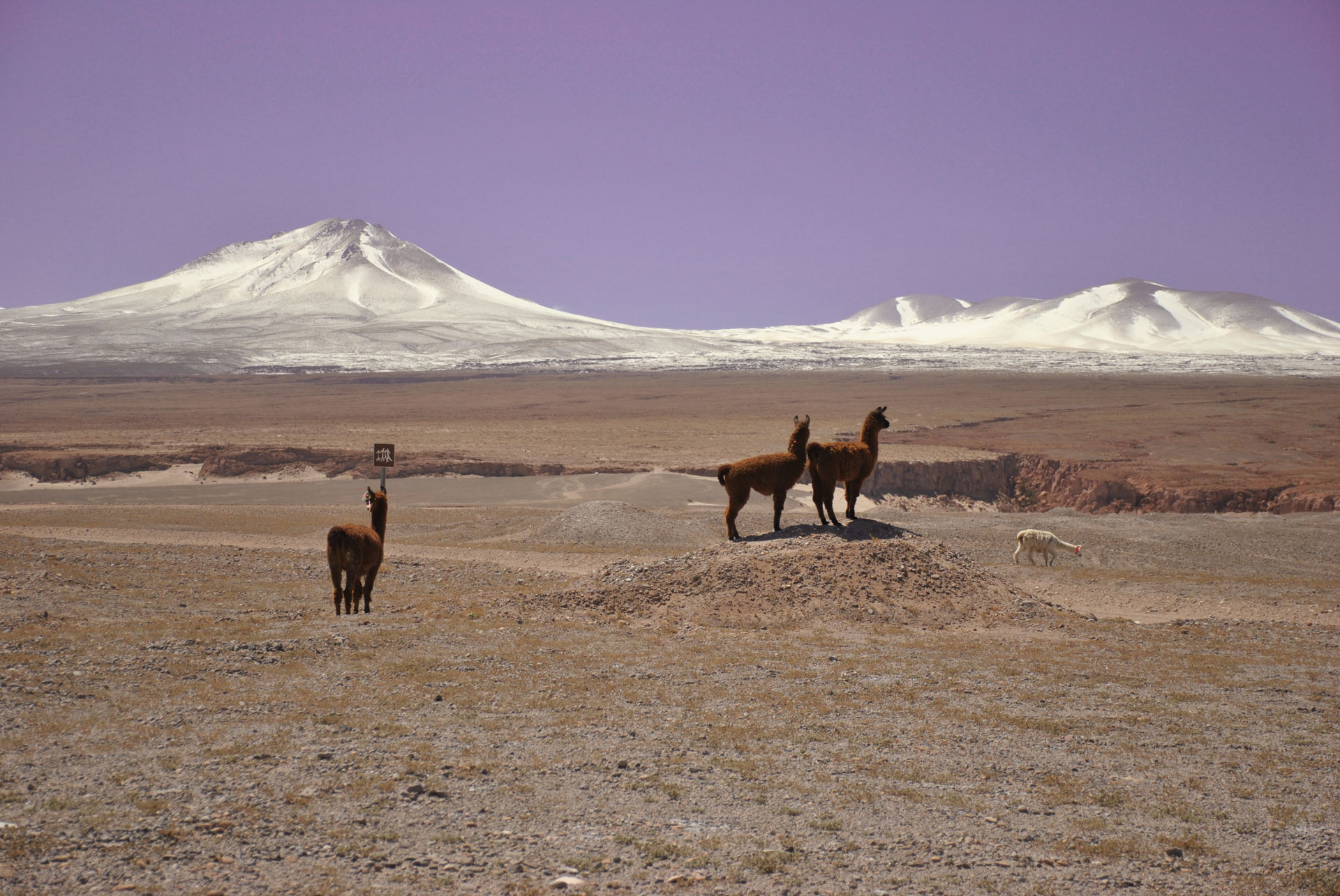 san-pedro-de-atacama