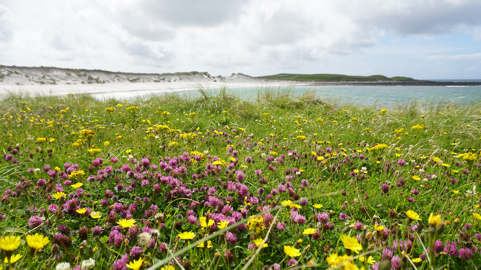 Hebridean-Way