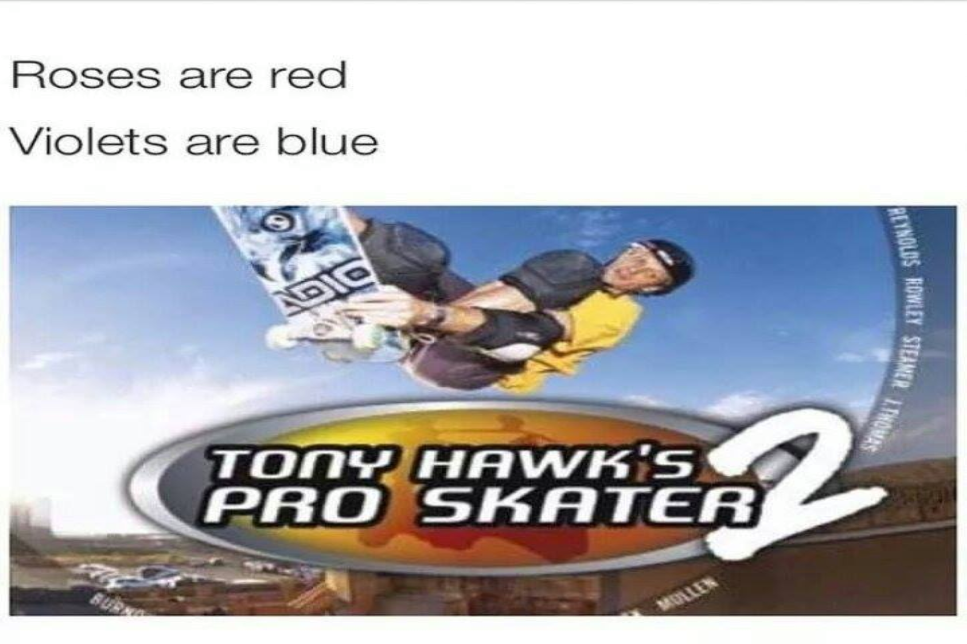 Skateboarding Memes - 1