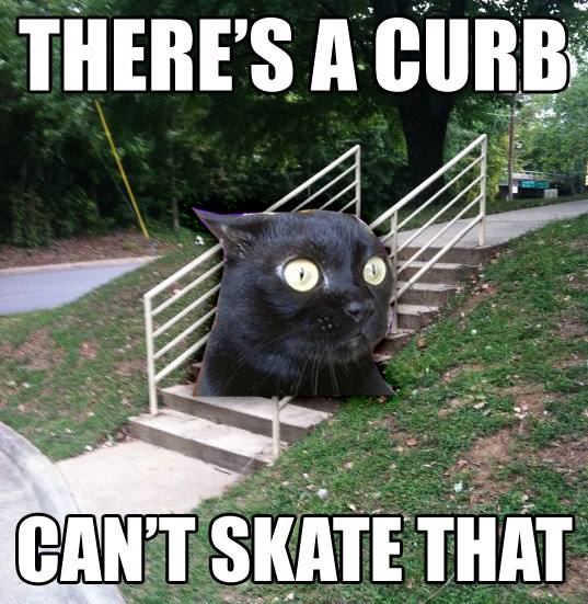 Skateboarding Memes - 22