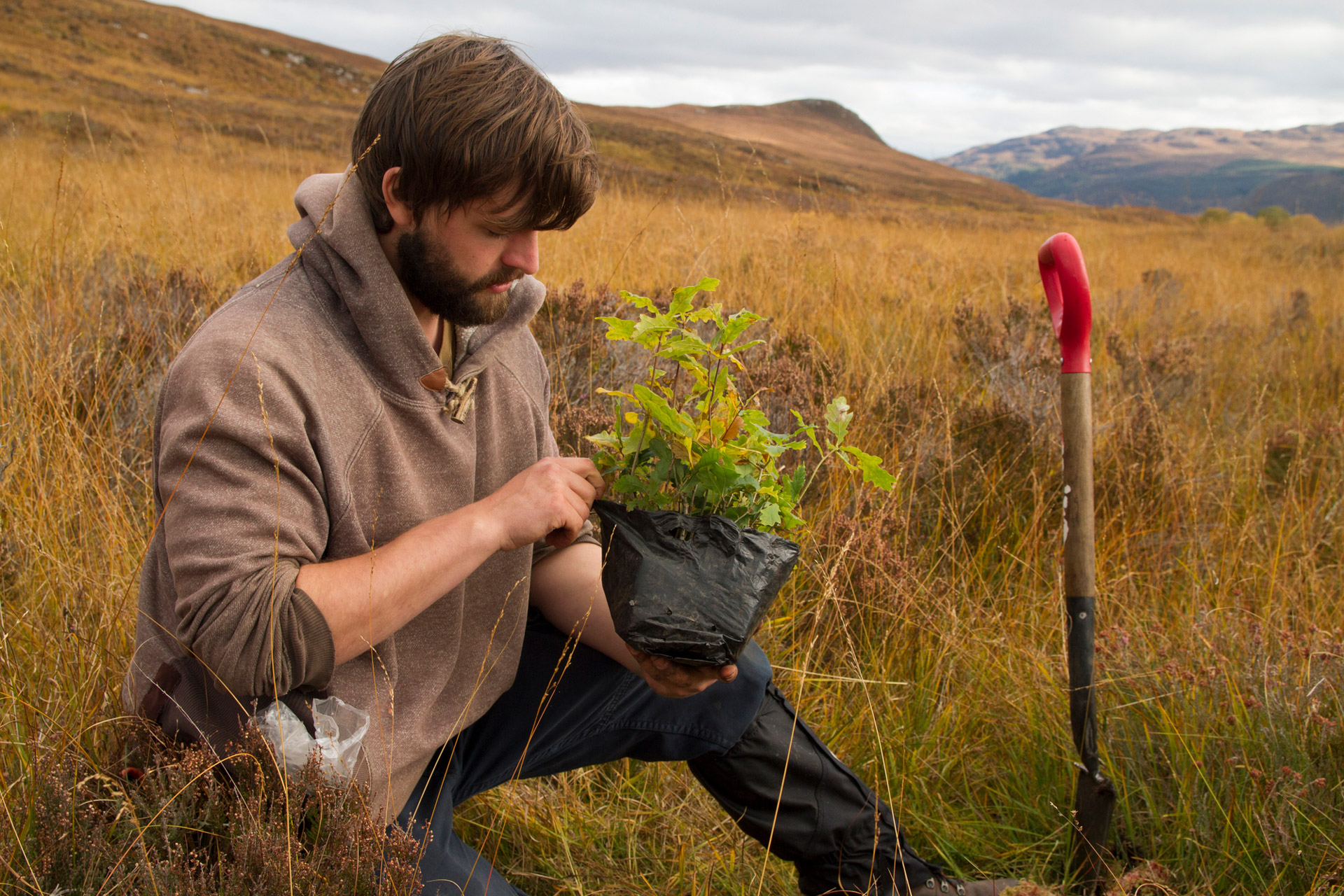 Rewilding-Scotland-Trees-For-Life-Organisation