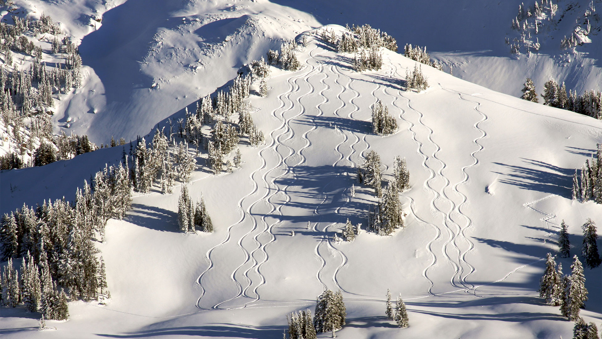 A Winter To Forget | Why Is America Seeing So Many Avalanche Fatalities?