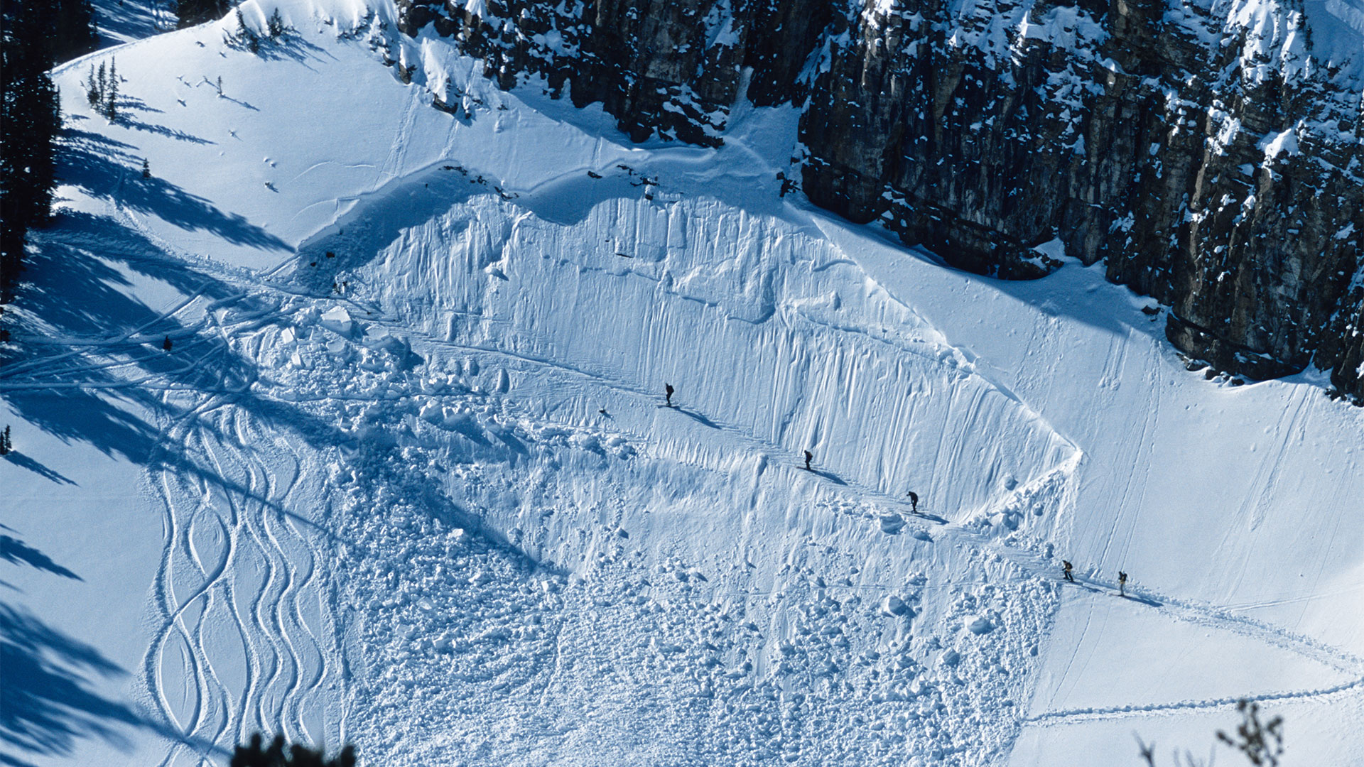 A Winter To Forget | Why Is America Seeing So Many Avalanche Fatalities?