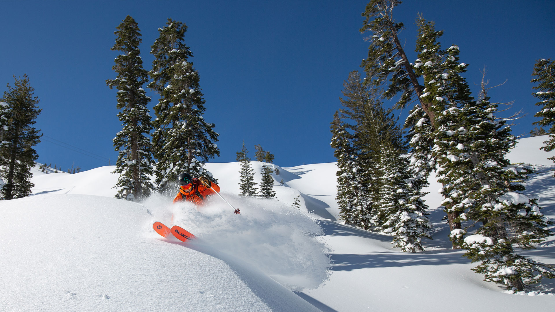 A Winter To Forget | Why Is America Seeing So Many Avalanche Fatalities?