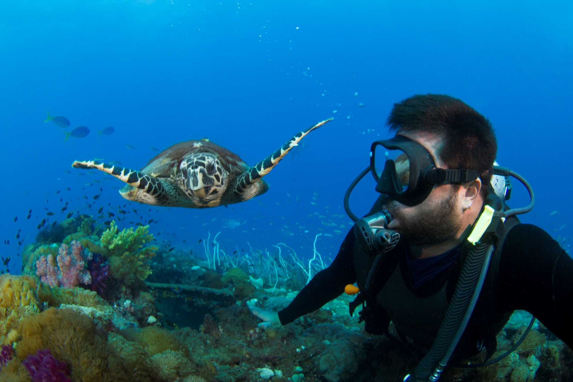 Scuba Diving Don'ts 3 - Don't Lie Or Miss Things Out