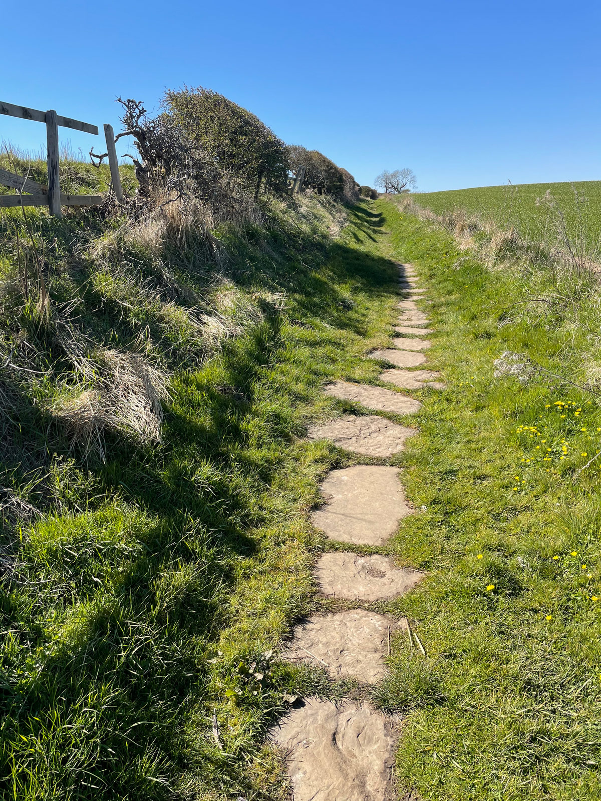 Fastpacking-Hadrians-Wall-Route