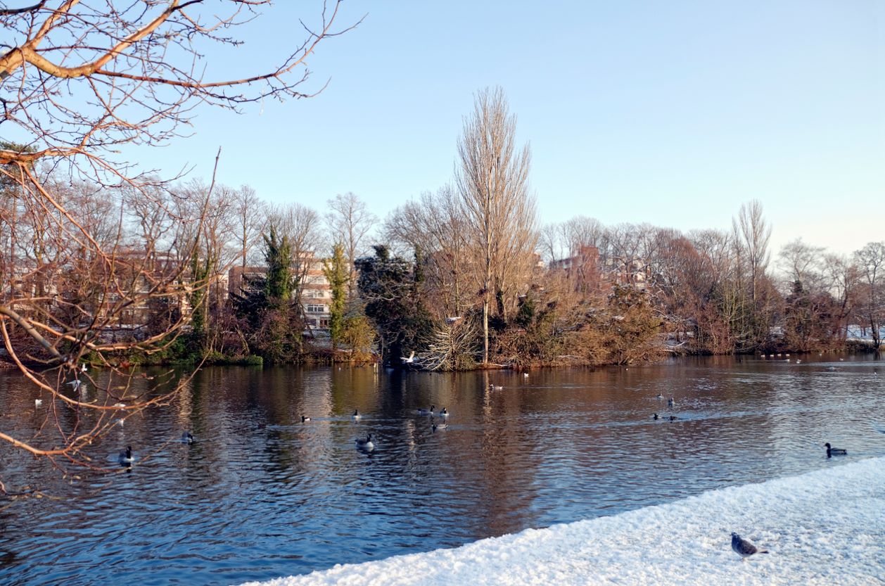 Wild Swimming In London 5