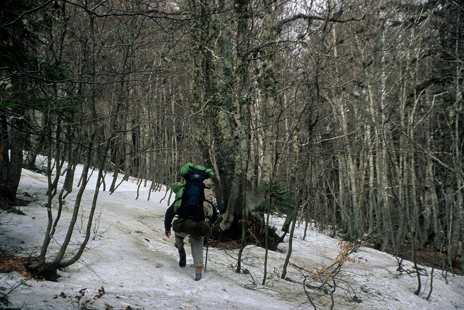 Hiking-In-Italian-Mountains