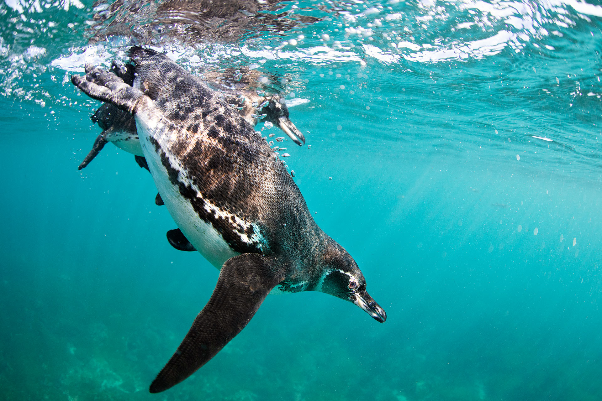 Galapagos-Islands-Climate-Change