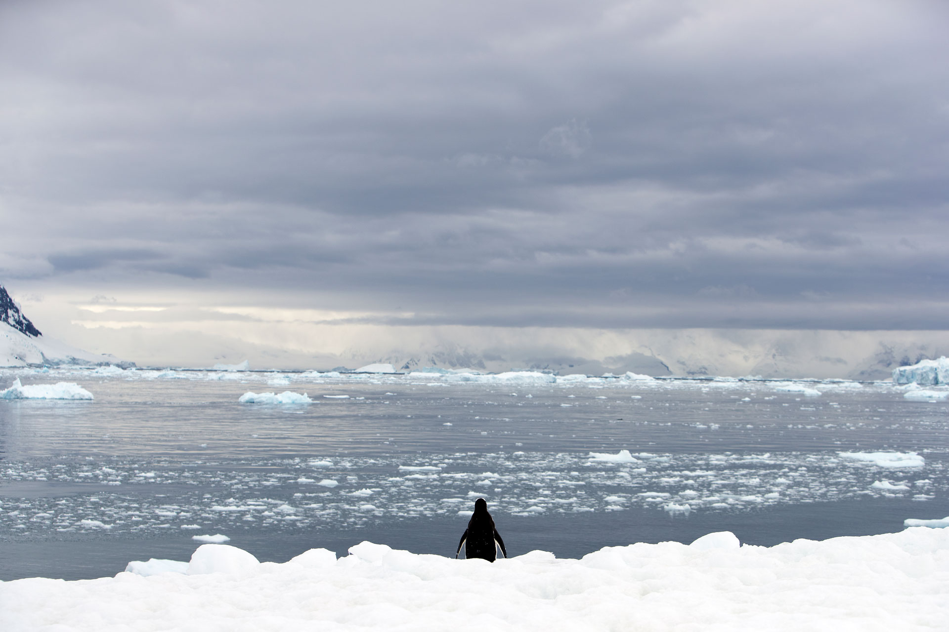 Climate-Change-Photography-Antarctica