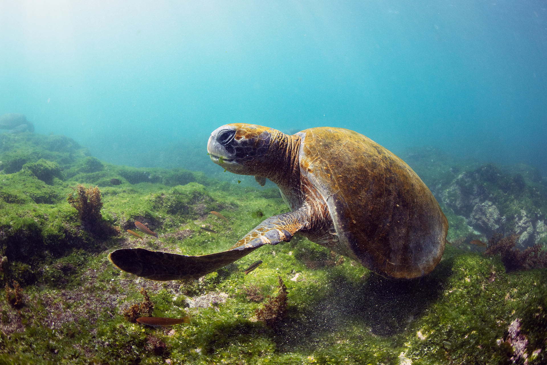 Galapagos-Islands-Climate-Change