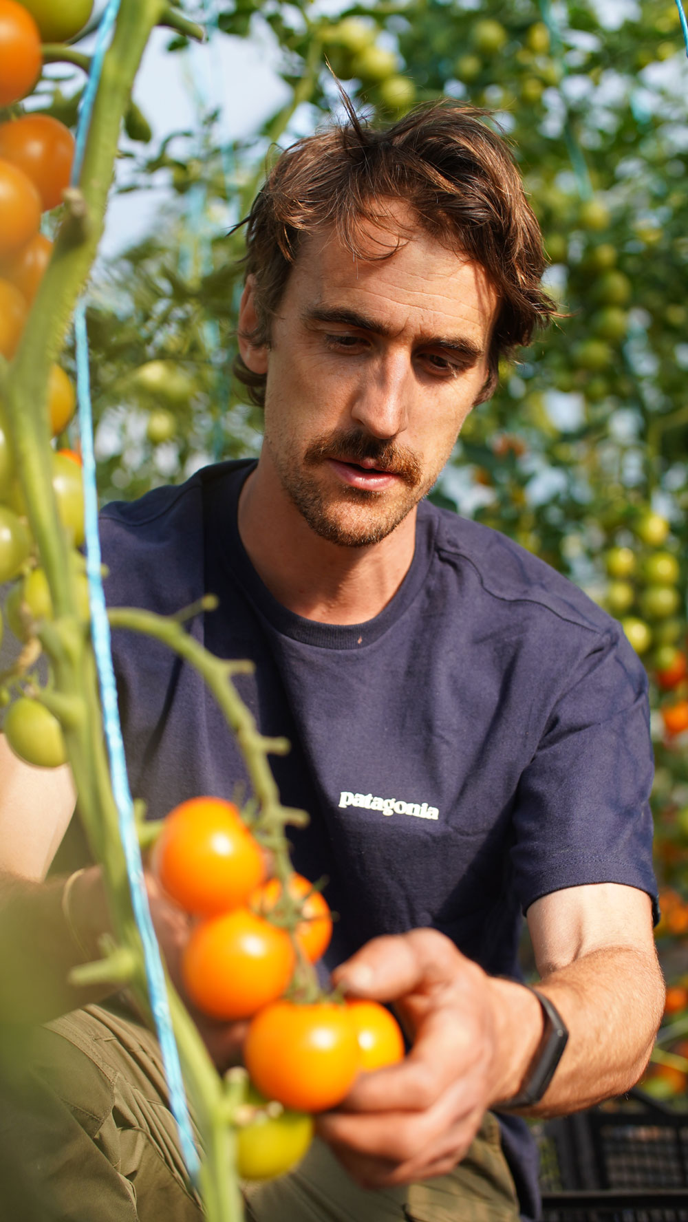 Organic-Farm-Northern-Ireland