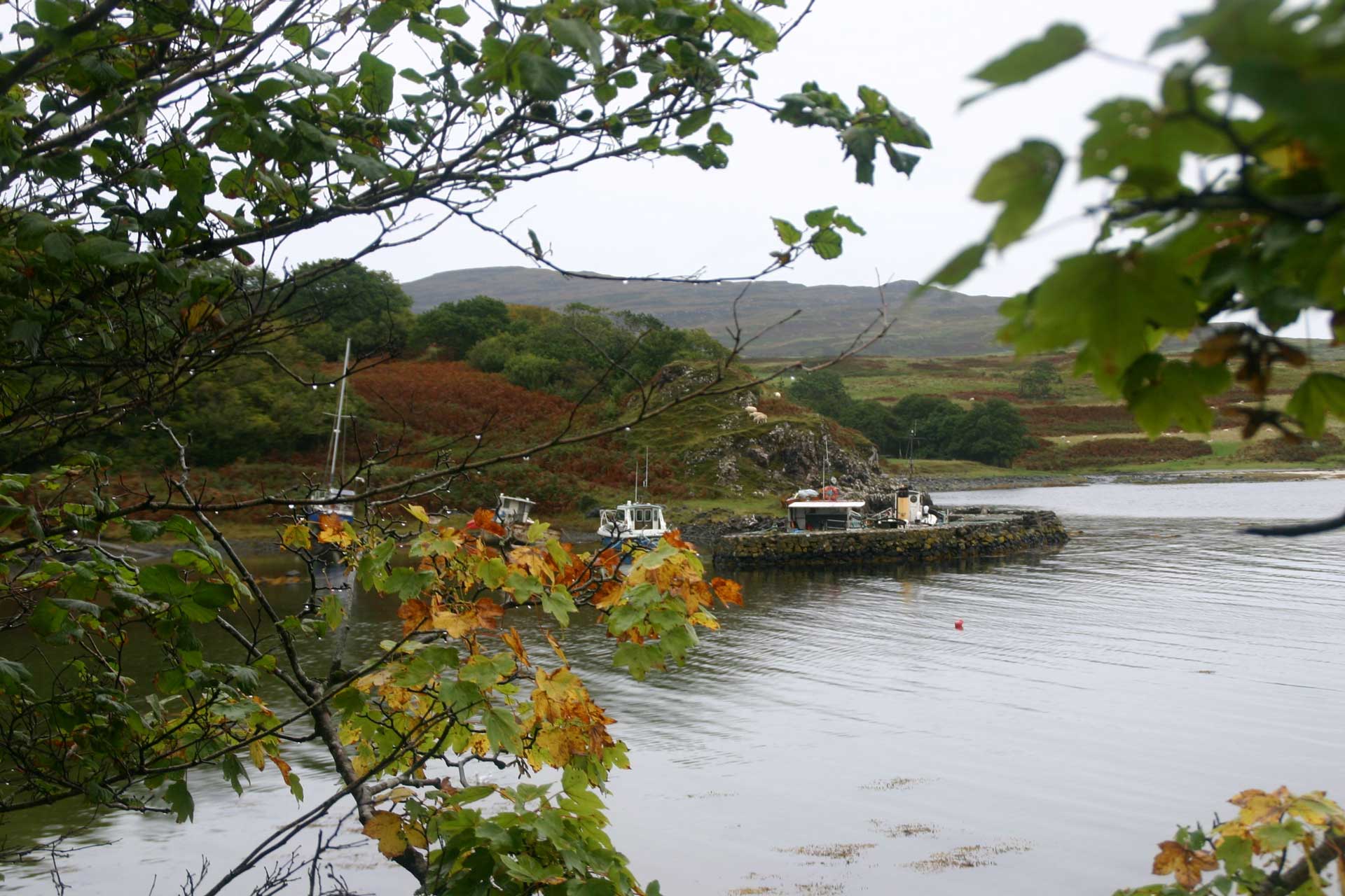 Autumn-On-Eigg